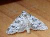 317439 – Photo : Catherine Reymonet-Smitten – France (19)